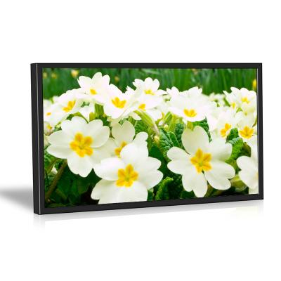 China 42inch Digital Signage (WIFI 3G Optional) Indoor USB Version Wall Advertise LCD Display for sale