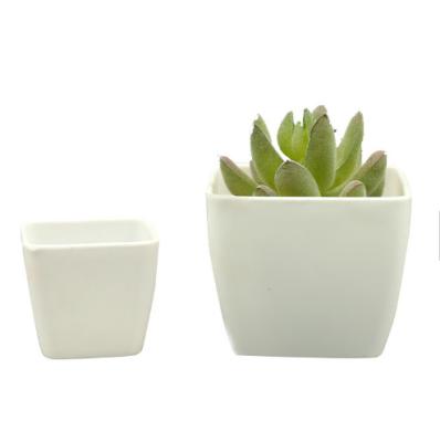 China Eco-friendly Classic Simplicity Simulated Succulents White Plastic Square Mini Flower Pot for sale