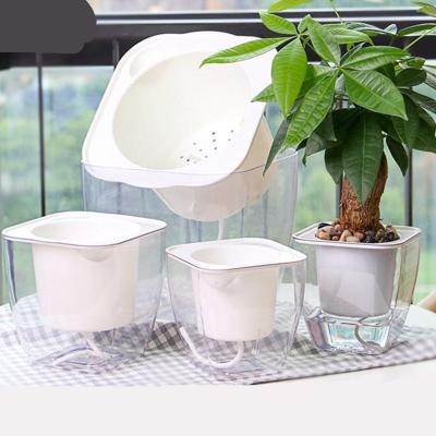 China Modern Wholesale Lazy Self Watering Flower Pot Plant Transparent Plastic Pots For Garden for sale