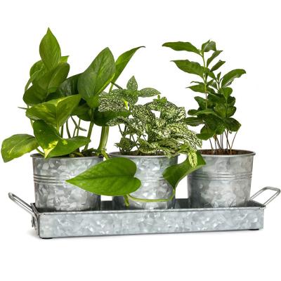 China Pastoral Farmhouse Flower Pot Set of 3 with Tray - Galvanized Metal Planter Pot Cart for Indoor or Outdoor Kitchen Windowsill Garden Use for sale