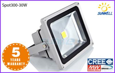 China Low Voltage Outdoor Led Flood Lights 30w photocell flood light DC12 / 24V for sale