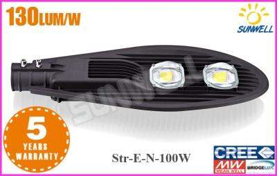 China Custom Energy Efficient Outdoor Street Lighting 100 Watte High Power for sale