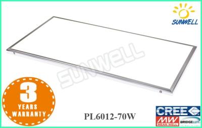 China Cool White 6600lm Led Flat Panel Lighting  70w 600 x 1200 mm Wall Panel Light for restaurants for sale