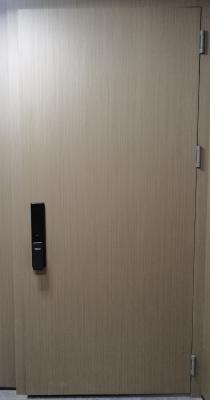 China Manufacturer Supply  43DB Steel Soundproof Door Fireproof Door Single Door for sale