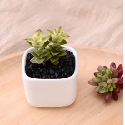 China Wholesale Minimalist Cheap Square Shape White Small Ceramic Flower Pots For Succulent for sale