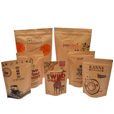 China China Supplier Moisture Proof Kraft Paper Food Smell Proof Zipper Bag Biodegradable for sale