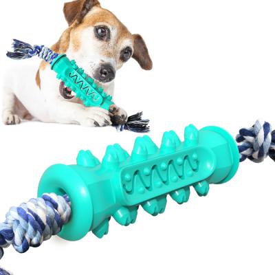 China Viable Dog Toy Interactive Molar Chew Toys tpr molar teeth rod dog strings TPR cleaning dog toy for sale