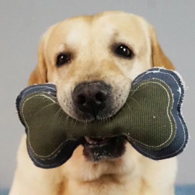 China Durable Interesting Classic Dog Bone Shape Durable Dog Chew Dog Toy Canvas Dog Toy for sale