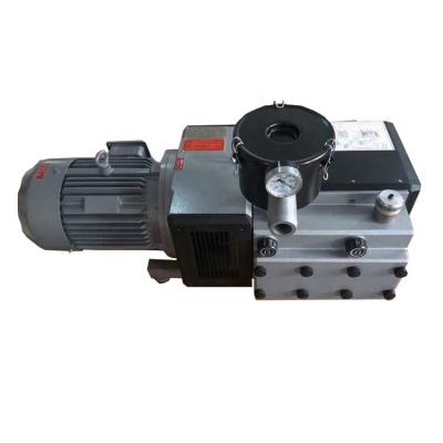 China High Grade Vacumate Printing And Packing Vacuum Pump for sale