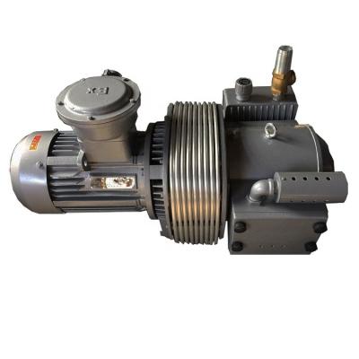 China Printing And Packing Brand New Type Turbine Compressors Vane And Vane Vacuum Pump for sale