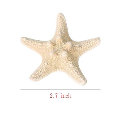 China Fashion 2 Pcs Starfish Hair Clip Resin Beach Starfish Hair Pins Mermaid Hair Clips Accessories For Women And Girls for sale