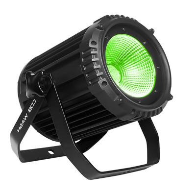 China High quality 200W LED COB PAR LIGHT OUTDOOR en venta