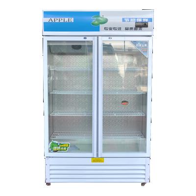 China Single-Temperature PepsiCo Upright Fridge Glass Display Drinks Fridge for sale