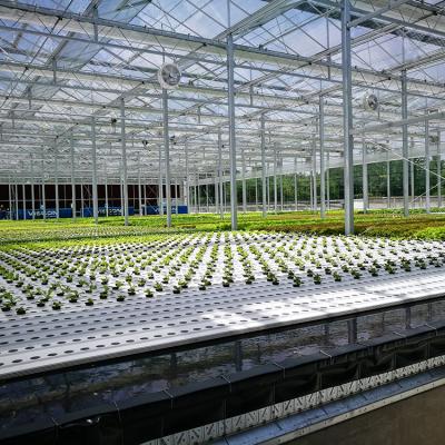 China Glass Production Large-scale Multi-span Glass Greenhouse Agriculture for sale