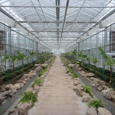 China Glass-glass greenhouse for large mechanical production or showcase for sale