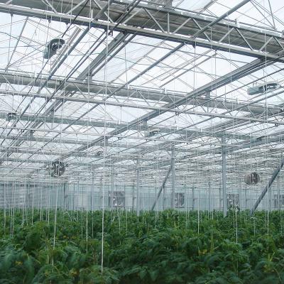 China Factory Price Double-Layer Cavity Glass Cover Greenhouse Glass Sale for sale