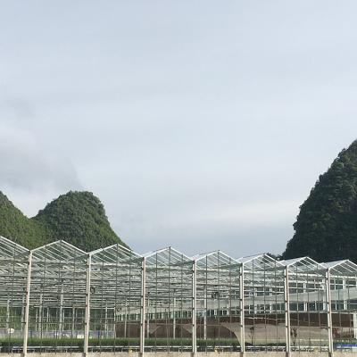 China Glass Galvanized Steel Structure Glass Nursery Greenhouse For Malaysia for sale