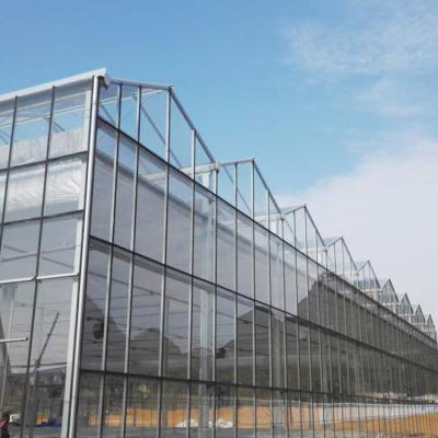 China Glass Light Transmission 88%-97% Glass Nursery Greenhouse Price for sale