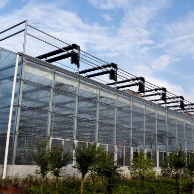 China Glass Multi Span Lettuce Hydroponic Greenhouse With Glass Cover for sale