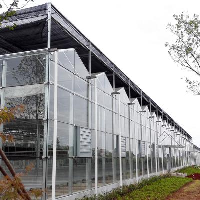 China Natural Ventilation Lettuce Glass Hydroponic Greenhouse With Glass Panels for sale