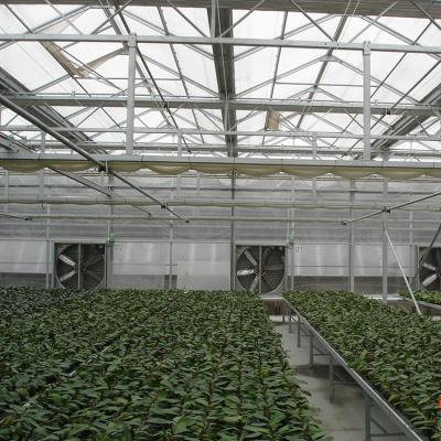 China PC Sheet Used Commercial Film Structure Greenhouse for sale