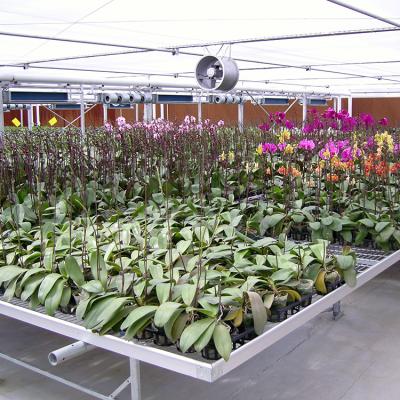 China PC Sheet Galvanized Steel Structure Orchid Cultivation PC Greenhouse for sale