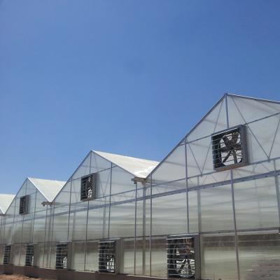 China Cheap Clear PC Sheet Polycarbonate Greenhouse For Agriculture for sale