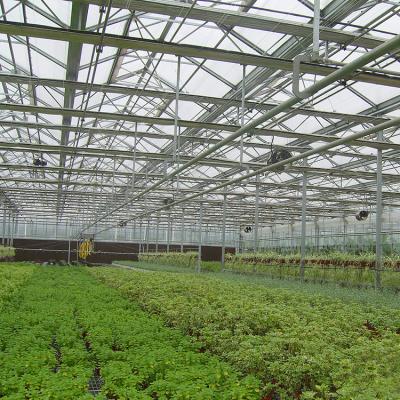 China PC Sheet Long Life Multispan Nursery Polycarbonate Seeding Greenhouse for sale