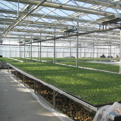 China PC Sheet Low Cost PC Greenhouse For Different Climate Regions for sale