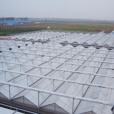 China PC Sheet Polycarbonate Panel Greenhouse For Different Climate Regions for sale