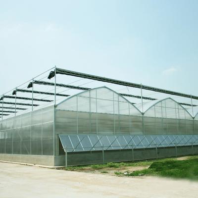 China PC Sheet Galvanized Steel Structure PC Panel Greenhouse Used For Agriculture for sale