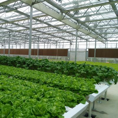 China PC Sheet UV Protection System Polycarbonate Hydroponic Greenhouse for sale