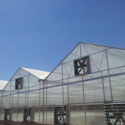 China PC Sheet UV Protection Thermal Insulation Good Polycarbonate Greenhouse for sale