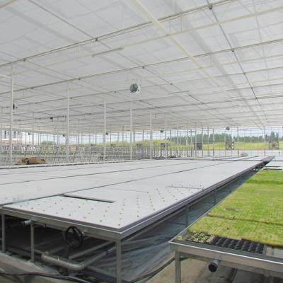 China PC Sheet Long Life Natural Ventilation Polycarbonate Sheet Greenhouse for sale