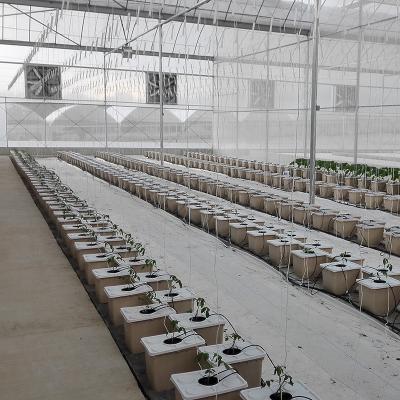 China PE stable agriculture tomato production greenhouse frames for sale for sale