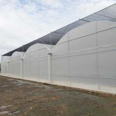 China PE Hydroponics Systems Agriculture Greenhouse Vegetable Growing System for sale