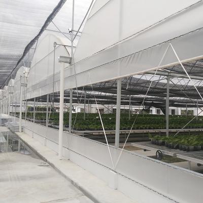 China UV Protection PE Plastic Sheet Tunnel Plastic Greenhouse For Orchid for sale