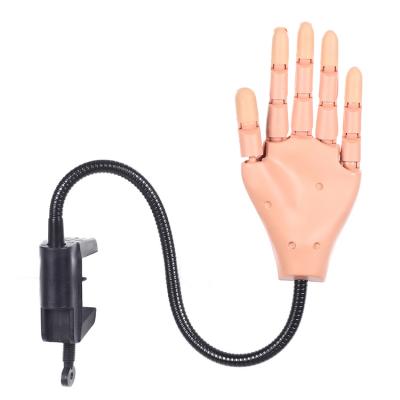 China Joint Exercise Convenient Prosthesis Nail Flexible And Movable Model Prosthesis for sale