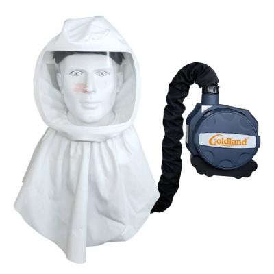 China Eco-Friendly Goldland Hood Compressed Powered Air Purifying Soft Respirator Helmet PAPR Welding System for sale