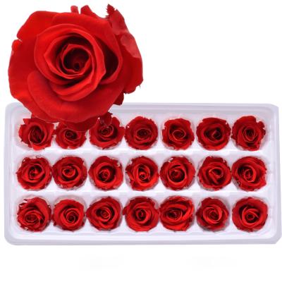 China Rose Buds Preserved Flower Natural Rose Decorative Everlasting Rose Flower 2 or 3 cm Preserved Rose Head for sale