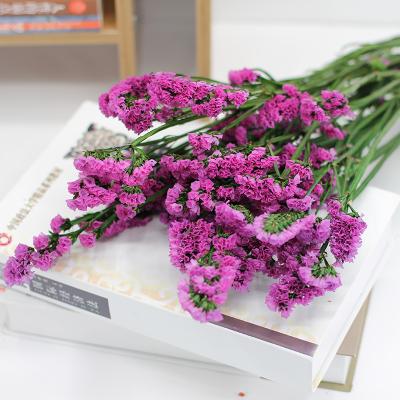 China Real Yunnan Durable Natural Decorative Flower Preserved Forget Me Not Myosotis Eternal Limonium for Festival Decoration for sale