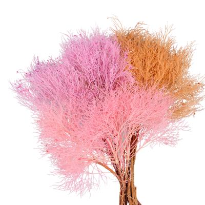 China Wholesale Preserved Dream Party Flowers Fantasy Grass Flower For Decoration for sale