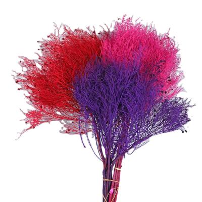 China Hot Selling Party Occasion Everlasting Flowers Preserved Dream Grass For Home Wedding Decoration for sale