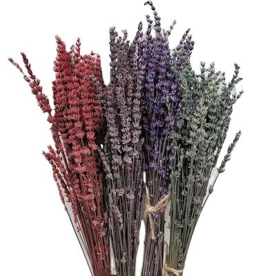 China High Quality Decoraative Outdoor Indoor Decoration Flowers Preserved Flower Lavender For Flower Arrangement for sale