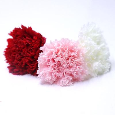 China Wedding Party Hotel Home Decoration Carnation Flower Buds Natural Eternal 4-5cm Preserved Eternal Flower Head Real For Flower Arrangement for sale