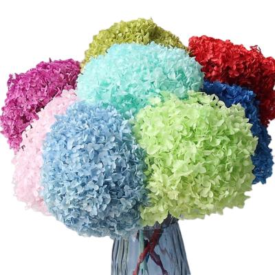 China Party Occasion Factory Direct Wholesale Preserved Flowers Anna Hydrangea For Valentines Gift Set for sale