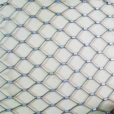 China Stainless Steel Ferrule Cable Mesh Aviary Wire Rope Mesh Customer Size Weave Wire Mesh for sale