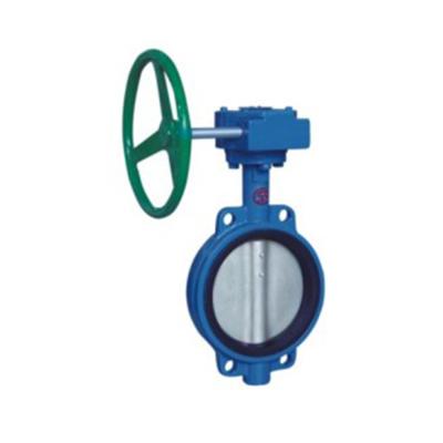 China Factory Direct Selling General High Quality General Direct Selling Good Prices Malleable Iron Body Disc Hook Type Ductile Butterfly Valve Central Lined Butterfly Valve for sale