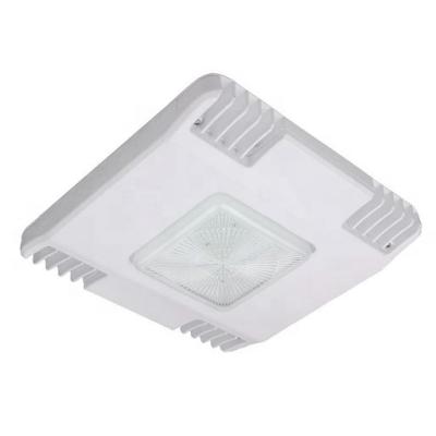 China High quality outdoor waterproof 100-277V charger controller 347V led canopy light led lights 100W mid-well driver for gas station for sale