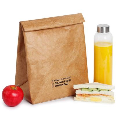 China Waterproof Custom Foil Lined Tyvek Waterproof Biodegradable Waterproof Washable Insulated Thermal Kraft Paper Cooler Lunch Bag for sale